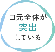 口元全体が突出している